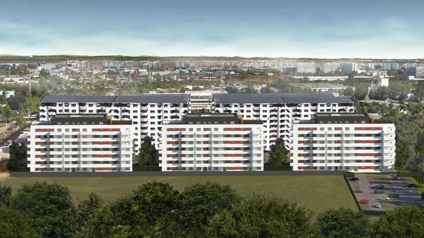 Interior Avangarde Village